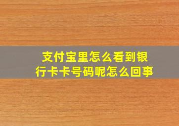 支付宝里怎么看到银行卡卡号码呢怎么回事