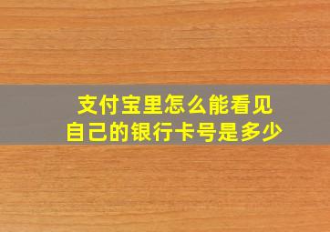 支付宝里怎么能看见自己的银行卡号是多少