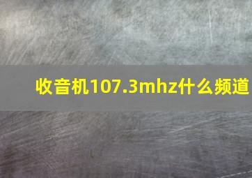 收音机107.3mhz什么频道