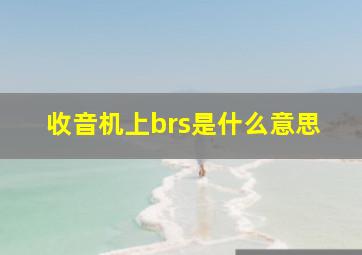 收音机上brs是什么意思