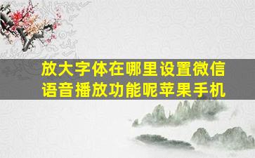 放大字体在哪里设置微信语音播放功能呢苹果手机