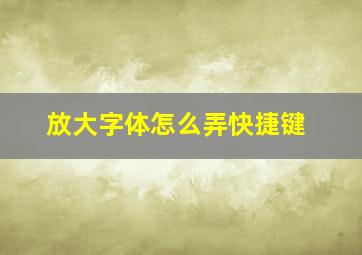 放大字体怎么弄快捷键