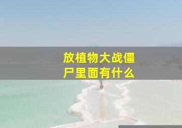 放植物大战僵尸里面有什么