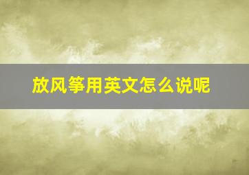 放风筝用英文怎么说呢