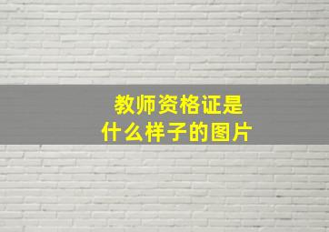 教师资格证是什么样子的图片