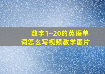 数字1~20的英语单词怎么写视频教学图片