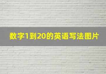 数字1到20的英语写法图片