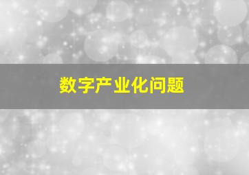 数字产业化问题