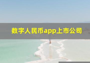 数字人民币app上市公司