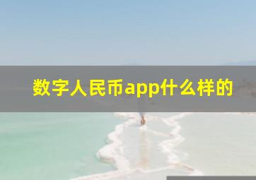 数字人民币app什么样的