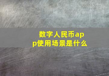 数字人民币app使用场景是什么