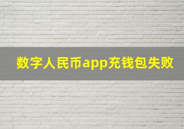 数字人民币app充钱包失败