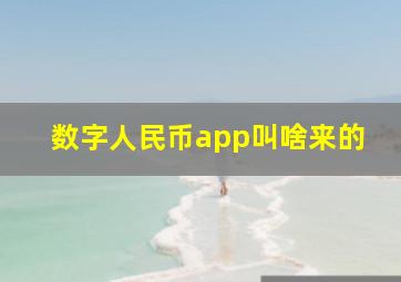 数字人民币app叫啥来的