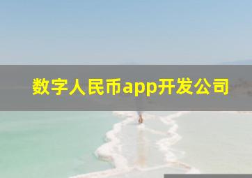 数字人民币app开发公司