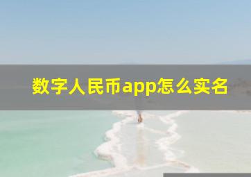 数字人民币app怎么实名