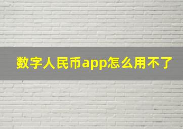 数字人民币app怎么用不了