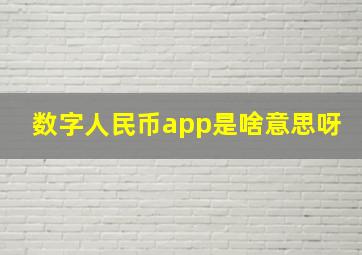 数字人民币app是啥意思呀