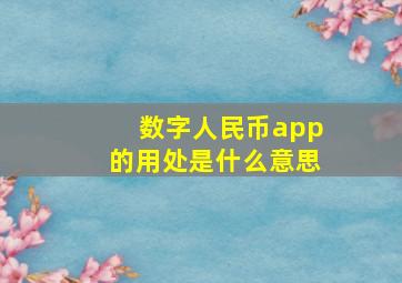 数字人民币app的用处是什么意思