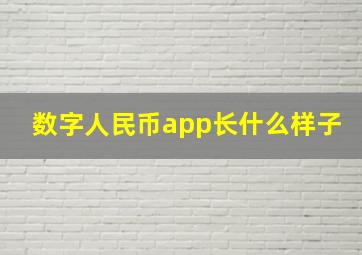 数字人民币app长什么样子