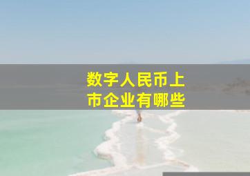 数字人民币上市企业有哪些