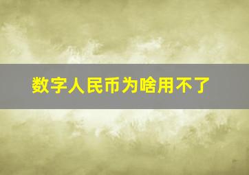 数字人民币为啥用不了