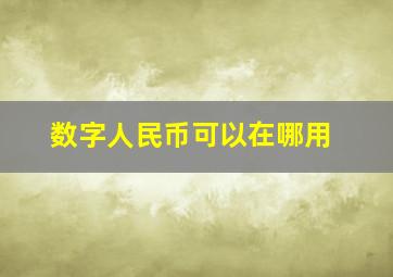 数字人民币可以在哪用