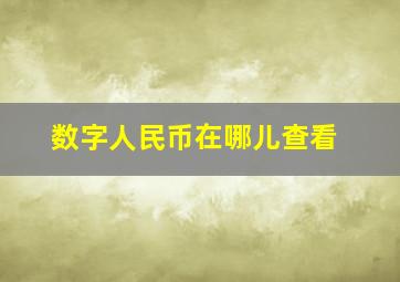 数字人民币在哪儿查看