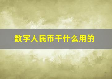 数字人民币干什么用的