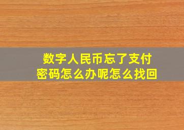 数字人民币忘了支付密码怎么办呢怎么找回