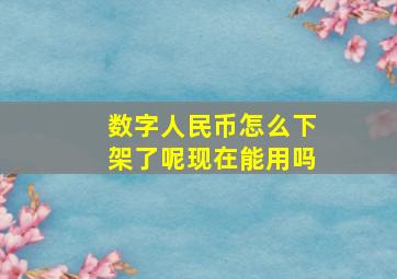 数字人民币怎么下架了呢现在能用吗