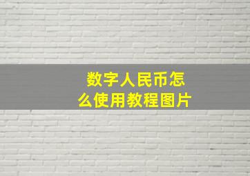 数字人民币怎么使用教程图片