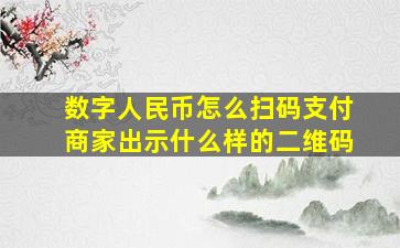 数字人民币怎么扫码支付商家出示什么样的二维码