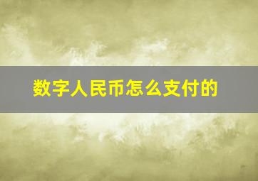 数字人民币怎么支付的