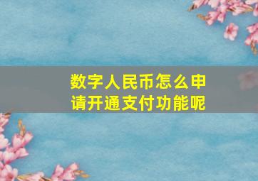 数字人民币怎么申请开通支付功能呢