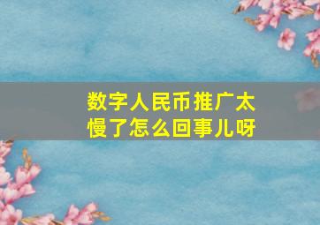 数字人民币推广太慢了怎么回事儿呀