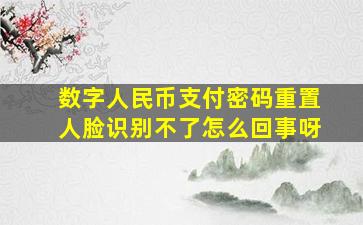 数字人民币支付密码重置人脸识别不了怎么回事呀