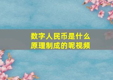 数字人民币是什么原理制成的呢视频