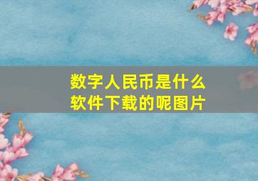 数字人民币是什么软件下载的呢图片