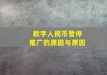 数字人民币暂停推广的原因与原因