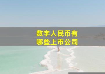 数字人民币有哪些上市公司