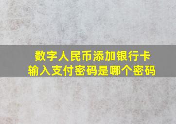 数字人民币添加银行卡输入支付密码是哪个密码