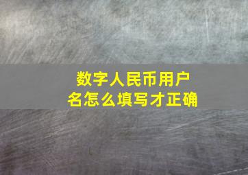 数字人民币用户名怎么填写才正确