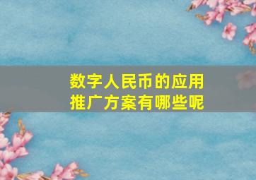 数字人民币的应用推广方案有哪些呢