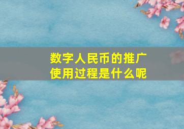 数字人民币的推广使用过程是什么呢