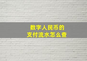 数字人民币的支付流水怎么查