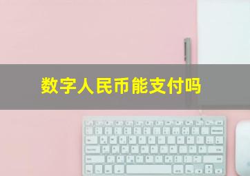 数字人民币能支付吗