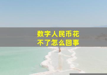 数字人民币花不了怎么回事