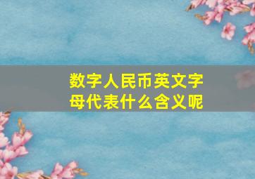 数字人民币英文字母代表什么含义呢