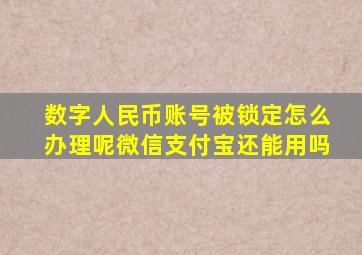 数字人民币账号被锁定怎么办理呢微信支付宝还能用吗