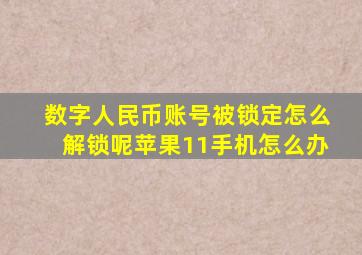 数字人民币账号被锁定怎么解锁呢苹果11手机怎么办